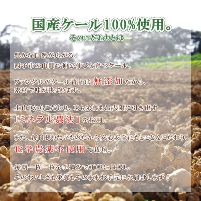 <ファンケル　搾りたて西予市産ケール青汁(冷凍)>濃縮野菜 国産  無添加 ミネラル 飲料