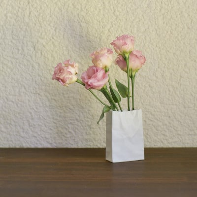 【瀬戸焼】ニュークリンクルスーパーバッグ#4 花器 ホワイト【セラミック・ジャパン】