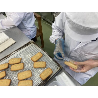 【毎月定期便】焼き菓子ギフトA全3回