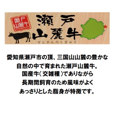 希少部位 瀬戸山麓牛ヒレステーキ3枚(1枚約100g×3枚)