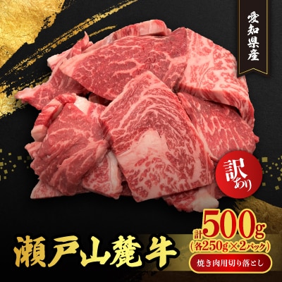 訳あり　瀬戸山麓牛焼肉用切落し500g(250g×2P)