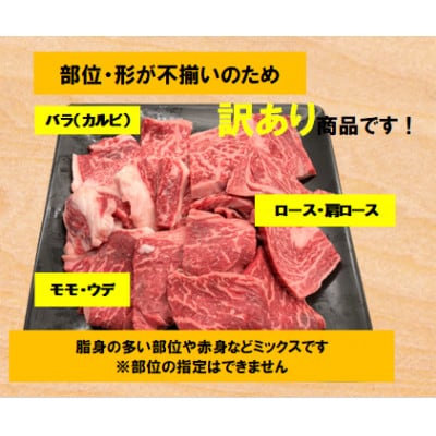 訳あり　瀬戸山麓牛焼肉用切落し500g(250g×2P)