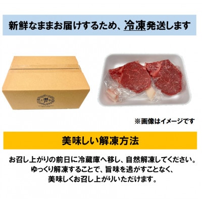 希少部位　瀬戸山麓牛ヒレステーキ2枚(1枚約100g×2枚)