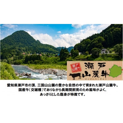 希少部位　瀬戸山麓牛ヒレステーキ5枚(1枚約100g×5枚)