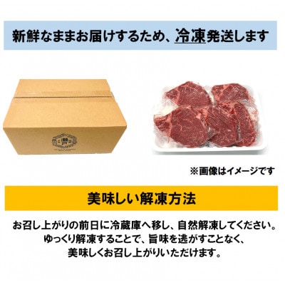 希少部位　瀬戸山麓牛ヒレステーキ5枚(1枚約100g×5枚)