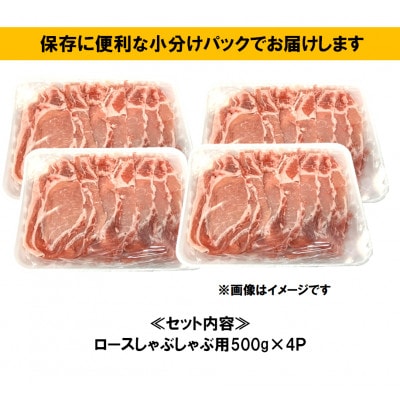 瀬戸豚ロースしゃぶしゃぶ用2kg