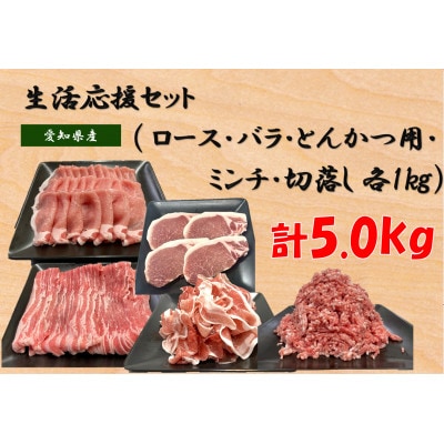 【セット品】生活応援セット　計5kg (ロース、バラ、とんかつ、ミンチ、切落し　各1kg)