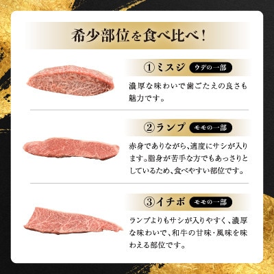 【毎月定期便】瀬戸山麓和牛希少部位ステーキセット500g以上全3回