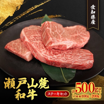 【毎月定期便】瀬戸山麓和牛希少部位ステーキセット500g以上全6回