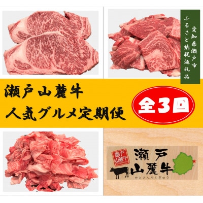 【毎月定期便】瀬戸山麓牛人気グルメ定期便全3回