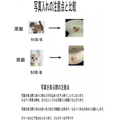 キャットパッド　フードボウル(名前、写真入れ)　　猫型皿(白)2個