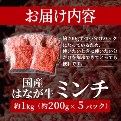 はなが牛　ミンチ　1kg　(200gx5p)