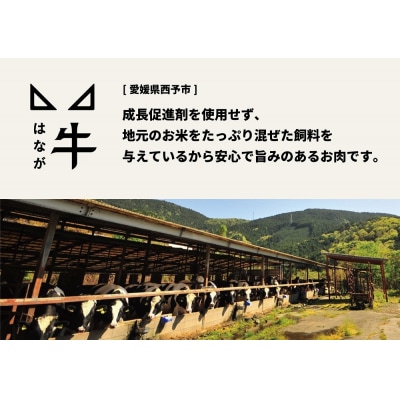 熟成肉 はなが牛ロースステーキ