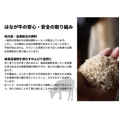 熟成肉 はなが牛ロースステーキ