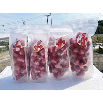 ひんやり!冷凍いちご「紅ほっぺ」2kg
