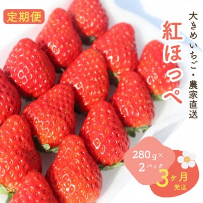 【発送月固定定期便】大きめいちご紅ほっぺ280g×2パック 約560g×全3回