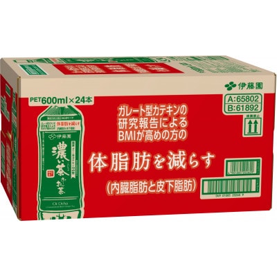 【毎月定期便】おーいお茶濃い茶　600ml×24本全12回