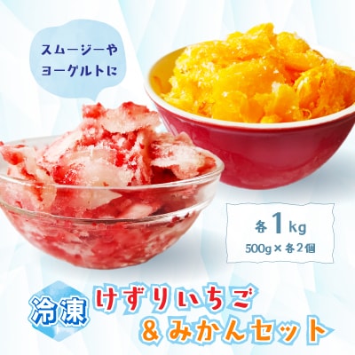 けずりいちご・みかんセット500g入り　各2セット