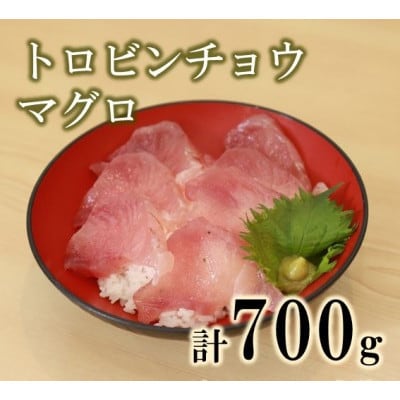 とろりとした口当たり!脂ののった冷凍トロビンチョウマグロ 700g(3～4柵)