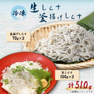 冷凍生しらす+釜揚げしらすセット(生しらす100g×3・釜揚げしらす70g×3)