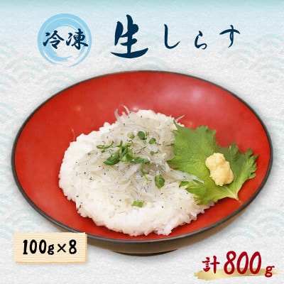 冷凍生しらす　800g(100g×8パック)