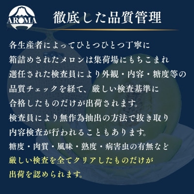 【毎月定期便】【組合直送】静岡が誇る温室高級マスクメロン「アローマメロン」1玉(約1.3kg)全6回