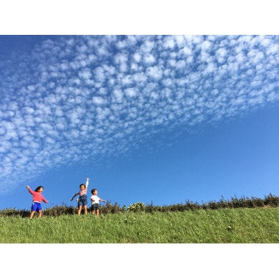 マイボトル茶(3袋)と普段飲み緑茶(2袋)セット　計5袋