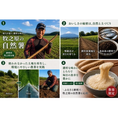 ★ひげ根処理済み★カット自然薯 900g (300g×3p)