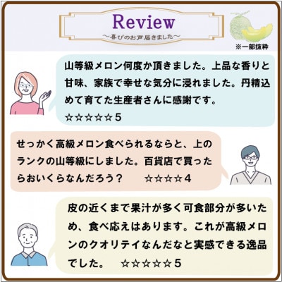 アローマメロン山等級 1玉入