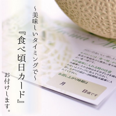 アローマメロン山等級 2玉詰