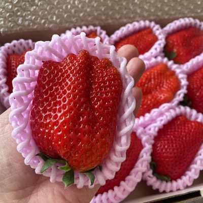 静岡いちご(きらぴ香)　贈答品　1箱