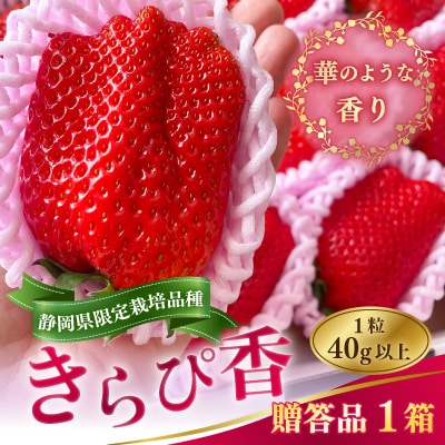 静岡いちご(きらぴ香)　贈答品　1箱