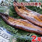 藤うなぎ　かば焼き　2尾　国産うなぎ蒲焼き 鰻[1159]