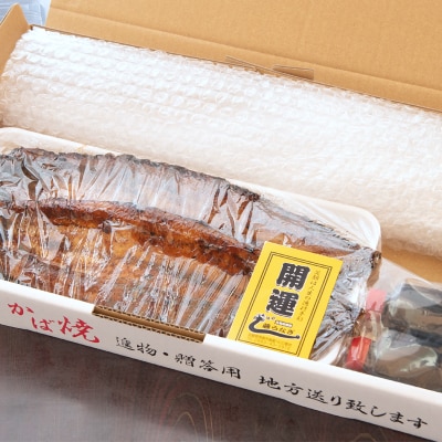 藤うなぎ　かば焼き　2尾　国産うなぎ蒲焼き 鰻[1159]