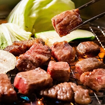 宮崎和牛 齋藤牛【約600g】黒毛和牛サイコロステーキ[2256]