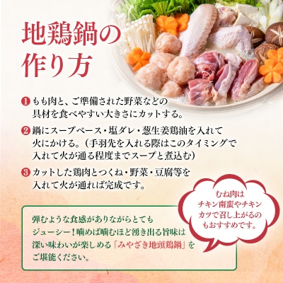 みやざき地頭鶏(じとっこ)鍋セット(地鶏鍋セット/鶏もも肉/むね肉/つくね/スープ付き)[1225]