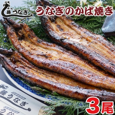 藤うなぎ　かば焼き　3尾　国産うなぎ 宮崎 蒲焼 鰻[1160]