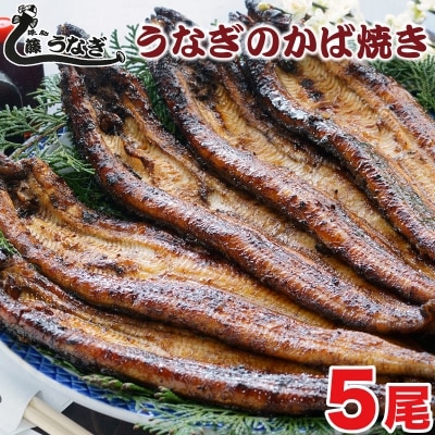 藤うなぎ　かば焼き　5尾　国産うなぎ 宮崎 蒲焼 鰻[1161]