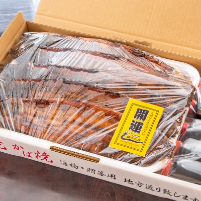 藤うなぎ　かば焼き　5尾　国産うなぎ 宮崎 蒲焼 鰻[1161]