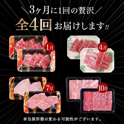 【カミチク 上村和牛】特選4回定期便 黒毛和牛焼肉・ステーキ・すき焼き 希少部位[2069]