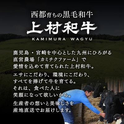 【カミチク 上村和牛】特選4回定期便 黒毛和牛焼肉・ステーキ・すき焼き 希少部位[2069]