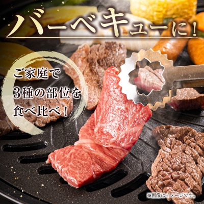 内閣総理大臣賞4連覇!宮崎牛焼肉セット450g(3部位)[2122]