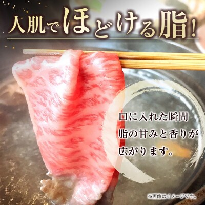 宮崎牛 クラシタローススライス500g A4等級以上　[2125]