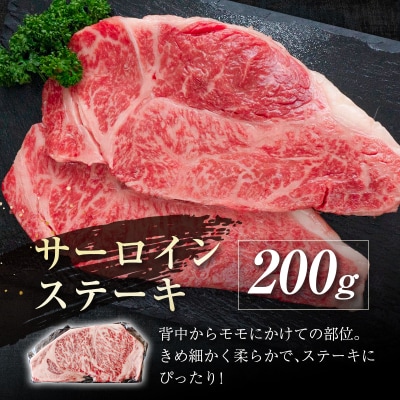 宮崎牛　サーロイン・リブロースステーキ食べ比べセット400g A4等級以上[2127]