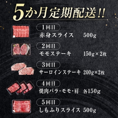 宮崎牛5ヶ月定期便 焼肉・スライス・ステーキ(5種)4大会連続内閣総理大臣賞[2406]　