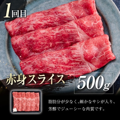 宮崎牛5ヶ月定期便 焼肉・スライス・ステーキ(5種)4大会連続内閣総理大臣賞[2406]　