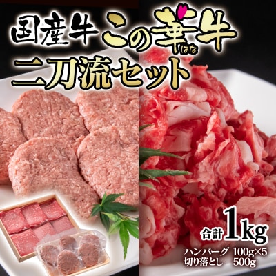 計1kg!国産牛切り落とし500g&牛100%ハンバーグ5個[2360]