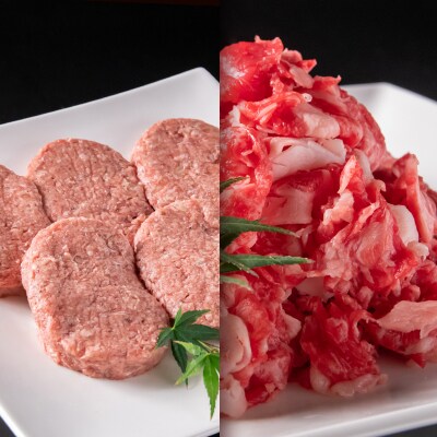 計1kg!国産牛切り落とし500g&牛100%ハンバーグ5個[2360]