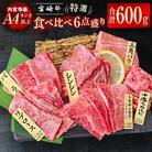 宮崎牛 特選焼肉 食べ比べ6点盛り 4等級以上 ブランド牛 内閣総理大臣賞4連覇 牛肉[2428]