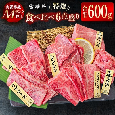 宮崎牛 特選焼肉 食べ比べ6点盛り 4等級以上 ブランド牛 内閣総理大臣賞4連覇 牛肉[2428]